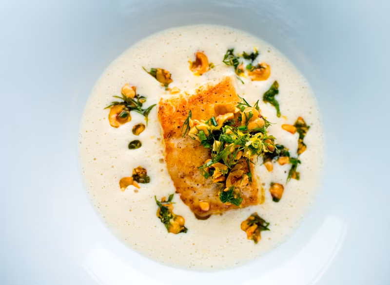 Kremet Fennikelsuppe med stekt Lysing, Hasselnøtter og Dill